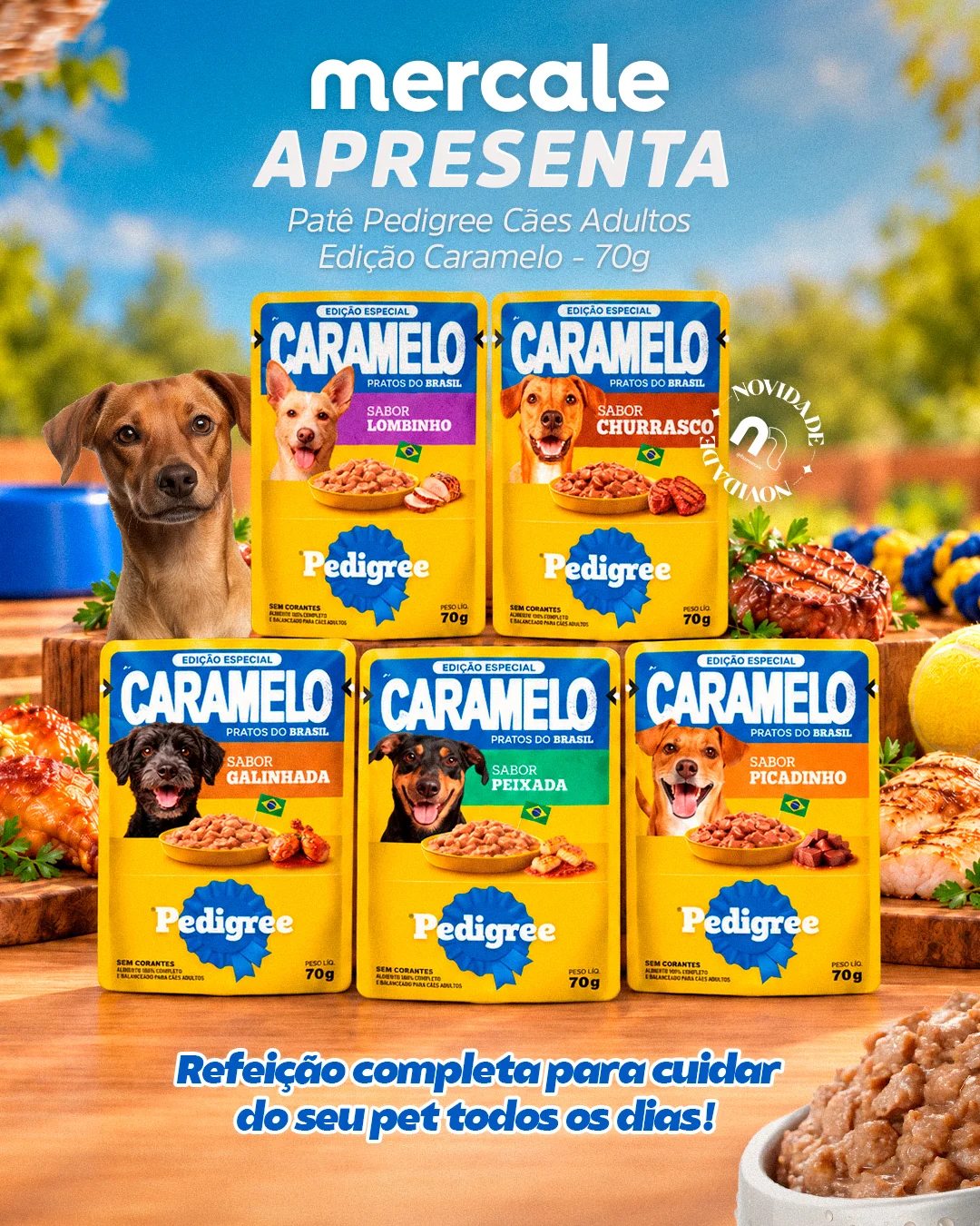 🐶💛 SEU MELHOR AMIGO VAI QUERER SABER DESSA!